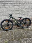 Scott Roxter 24”