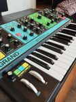 moog Grandmother 
