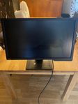 Benq 25” Monitorskärm