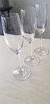  Spiegelau champagneglas