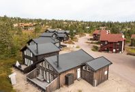Optimalt hus, ski-in/out Trysil jul/nyår, v 2-4, 8-9, 11-14