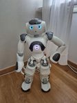 Humanoid robot NAO 6