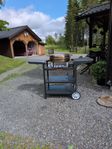 Muurikka elgrill