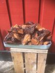 Sprängticka--Chaga