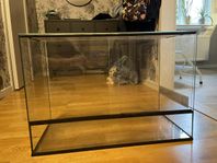 Terrarium