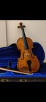 violin