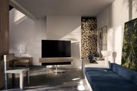 Beovision Eclipse 55" ink. Motorised Floorstand