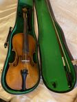 Violin ¾