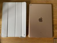 IPad 7 Gen i fint skick