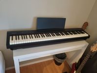 Elpiano Rolan FP-30