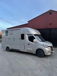 NORDIC HORSE 5 STUTERI