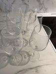 Vitvinsglas