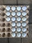21st Titleist Pro V1X Golfbollar A/B+ klass