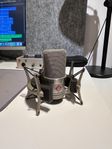 Neumann TLM 102