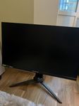 Acer Predator
