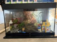Akvarium 100 liter
