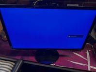BenQ GL2460 | 24"