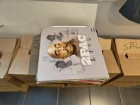 Stor samling med vinyl och LP