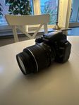 Nikon D3100