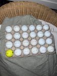 Golfbollar Titleist PROV1/Prov1x 20st (klass C+-D)