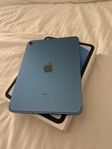 iPad (10th generation) Wi-Fi + Cellular blue 
