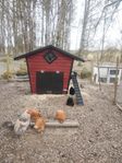 hönshus 