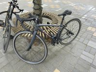 Trek Domane AL3 Damcykel 47
