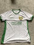 Hammarby matchtröja hemma 2024/2025