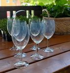 10 st vinglas vitvinsglas