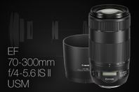 Canon EF 70-300MM f4-5.6 IS II Nano USM