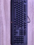 Razer gaming tangentbord