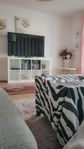 55 tum scanic tv