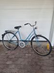 28" Rex damcykel