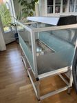 Akvarium eller terrarium