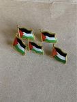 Palestina pins