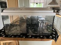 Akvarium 