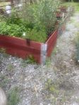 Pallkrage/odling