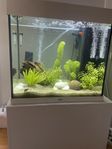 Juwel 120l