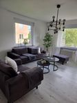 Copenhagen sametsoffa 3- sits med fåtölj och fotpall