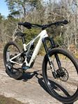 Specialized Stumpjumper Evo Expert