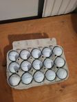 titles pro v1 golfbollar