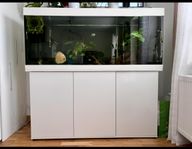 Akvarium 450l med pump FX6