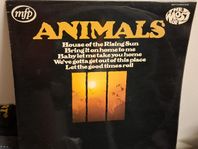LP Animals – The most of