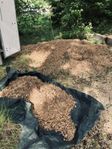 Träflis bortskänkes 