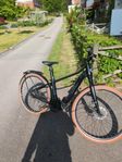 Shimano Speeder Ortler 500 - 2023