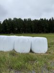 Hösilage