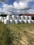 Hösilage