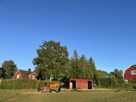 Liten Lösdrift