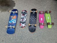Skateboard / Jellyboard
