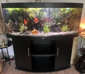Juwel vision 450 - Akvarium paket 